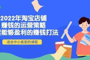 2022年淘宝店铺赚钱的运营策略：一套能够盈利的赚钱打法，适合中小卖家