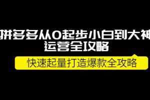 拼多多从0起步小白到大神运营全攻略，快速起量打造10W+爆款全攻略