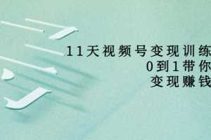 11天视频号变现训练营，从0到1打造变现赚钱系统