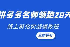 领跑2022-拼多多名师线上领跑28天，线上孵化实战爆款班