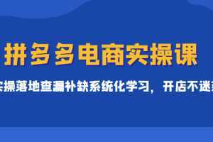 拼多多电商实操课，实操落地查漏补缺系统化学习，开店不迷茫