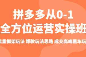 拼多多从0-1全方位运营实操班 流量框架玩法 爆款玩法思路 成交高峰黑车玩法