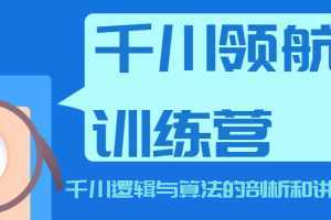 千川领航训练营，千川逻辑与算法的剖析和讲解