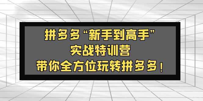 拼多多“新手到高手”实战特训营：带你全方位玩转拼多多！