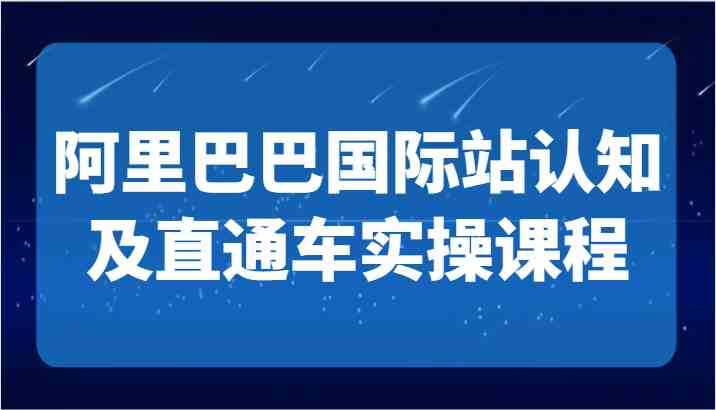 阿里巴巴国际站认知及直通车实操课-国际地产逻辑、国际站运营定位、TOP商家运营思路