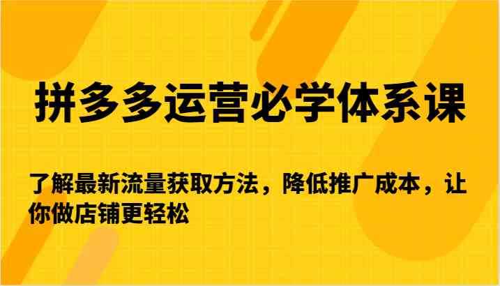 拼多多运营必学体系课-了解最新流量获取方法，降低推广成本，让你做店铺更轻松