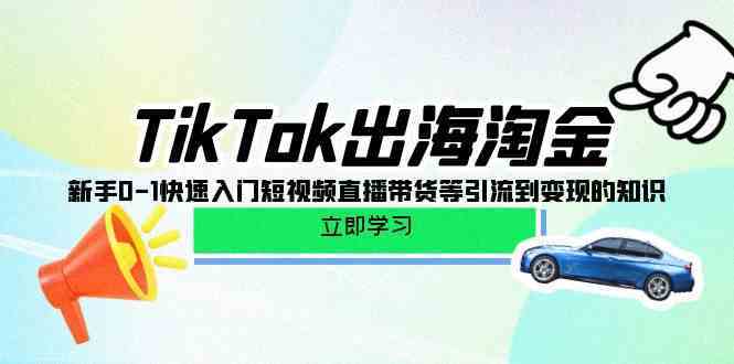 TikTok出海淘金，新手0-1快速入门短视频直播带货等引流到变现的知识