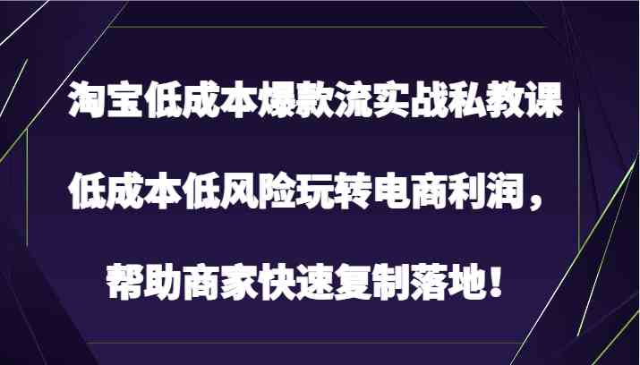 淘宝低成本爆款流实战私教课，低成本低风险玩转电商利润，帮助商家快速复制落地！