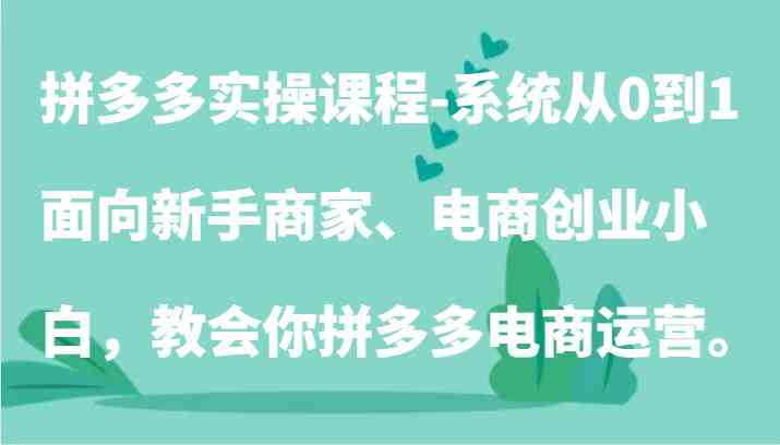 拼多多实操课程-系统从0到1，面向新手商家、电商创业小白，教会你拼多多电商运营。