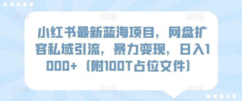 小红书最新蓝海项目，网盘扩容私域引流，暴力变现，日入1000+【揭秘】