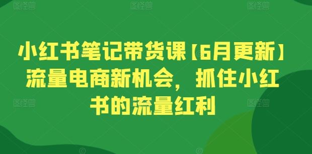 小红书笔记带货课【6月更新】流量电商新机会，抓住小红书的流量红利