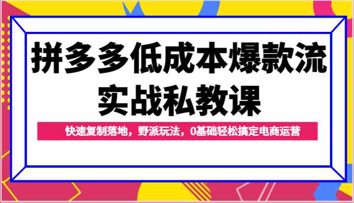 拼多多低成本爆款流实战私教课，快速复制落地，野派玩法，0基础轻松搞定电商运营