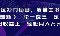 AI掘金冷门项目，流量主冷门赛道，举一反三，玩法单日收益上，轻松月入万元【揭秘】