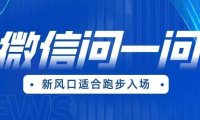 全网首发微信问一问新风口变现项目