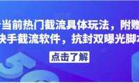 解析当前热门截流具体玩法，附赠全新快手截流软件，抗封双曝光脚本【揭秘】