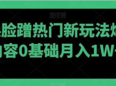 AI换脸蹭热门新玩法爆款内容0基础月入1W+