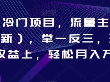 AI掘金冷门项目，流量主冷门赛道，举一反三，玩法单日收益上，轻松月入万元【揭秘】