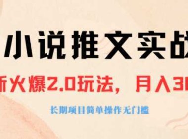 外面收费990的小说推广软件，零粉丝可变现，月入3000+，小白当天即上手