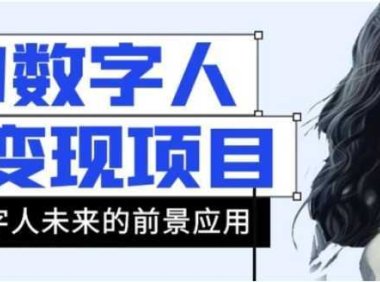 AI数字人短视频变现项目，43条作品涨粉11W+销量21万+【揭秘】