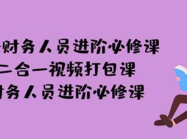 AI + 财务人员进阶必修课二合一视频打包课，财务人员进阶必修课