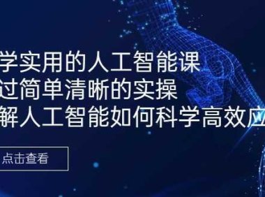 好学实用的人工智能课 通过简单清晰的实操 理解人工智能如何科学高效应用