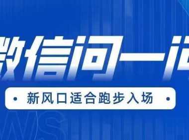 全网首发微信问一问新风口变现项目