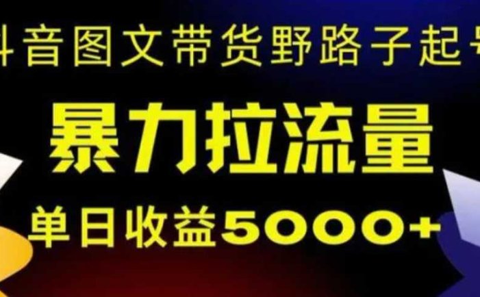 抖音图文带货暴力起号，单日收益5000+，野路子玩法，简单易上手，一部手机即可【揭秘】