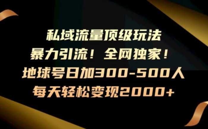 暴力引流，全网独家，地球号日加300-500人，私域流量顶级玩法，每天轻松变现2000+