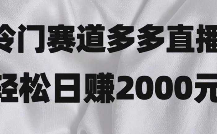 冷门赛道拼多多直播项目，简单念稿子，日收益2000＋