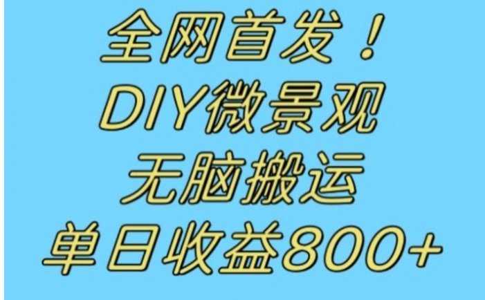 全网首发冷门赛道！DIY微景观，无脑搬运视频，日收益800+【揭秘】