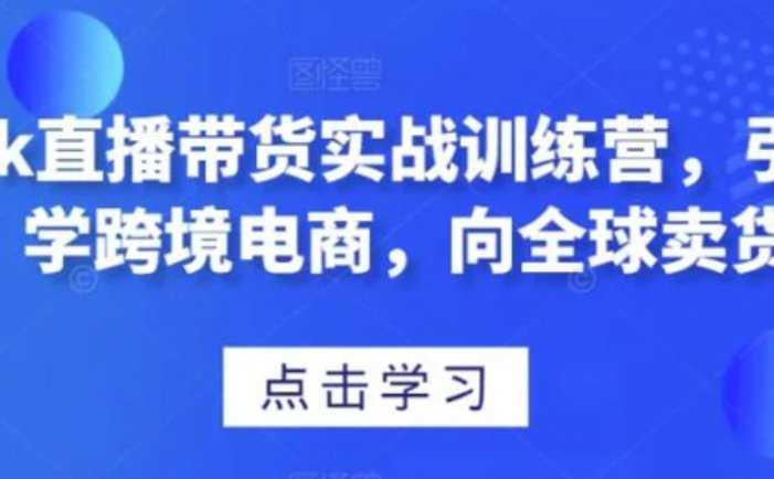 TikTok直播带货实战训练营，引流爆单，学跨境电商，向全球卖货！