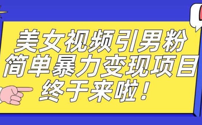 价值3980的男粉暴力引流变现项目，一部手机简单操作，新手小白轻松上手，每日收益500+【揭秘】