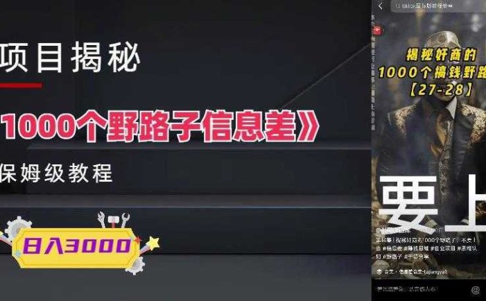 1000个野路子信息差保姆式教程-单日变现3000+的玩法解密