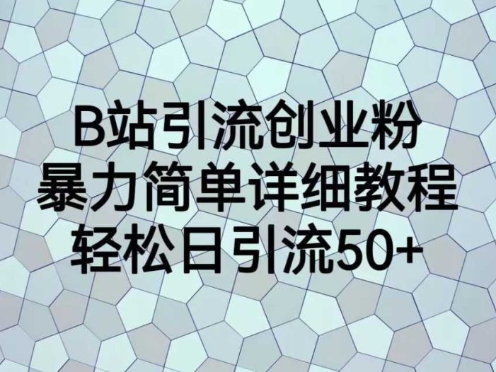 B站引流创业粉，暴力简单详细教程，轻松日引流50+