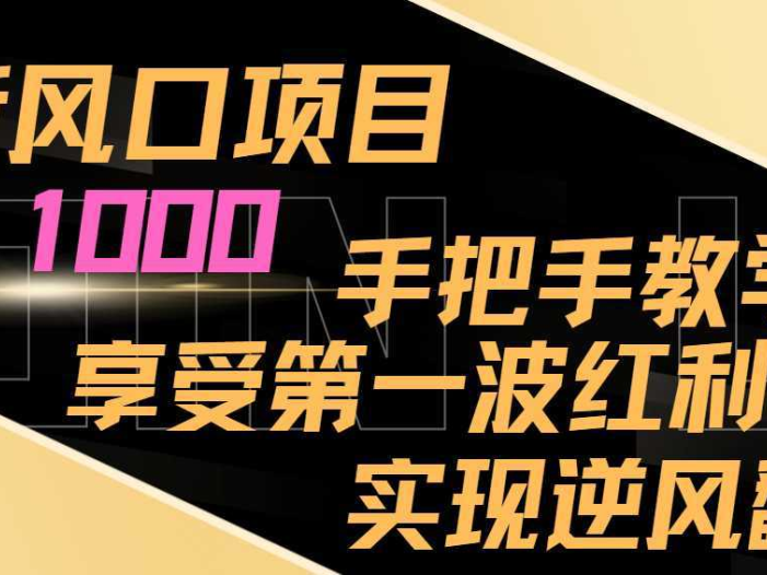 最新风口项目，日入1000，手把手教学，享受第一波红利，实现逆风翻盘