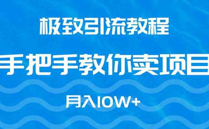 极致引流教程，手把手教你卖项目，月入10W+