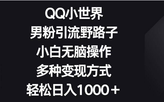 QQ小世界男粉引流野路子，小白无脑操作，多种变现方式轻松日入1000＋