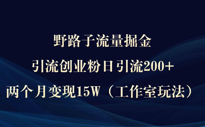 野路子流量掘金，引流创业粉日引流200+，两个月变现15W）