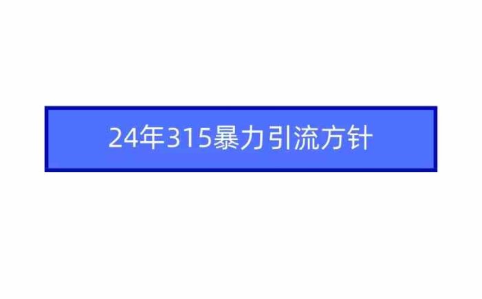 2024年315暴力引流方针