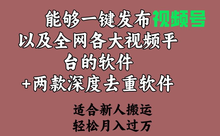 能够一键发布视频号以及全网各大视频平台的软件+两款深度去重软件 适合…