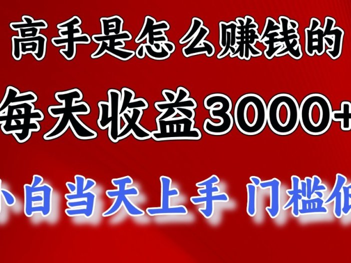 高手是怎么一天赚3000+的，小白当天上手，翻身项目，非常稳定。