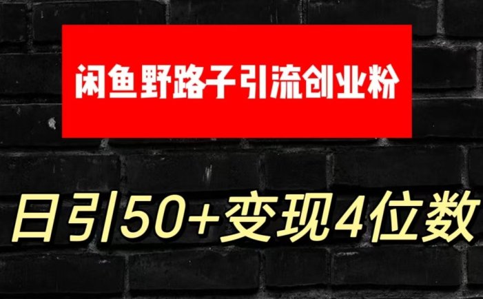 大眼闲鱼野路子引流创业粉，日引50+单日变现四位数