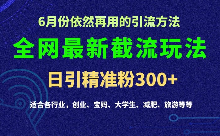 2024全网最新截留玩法，每日引流突破300+