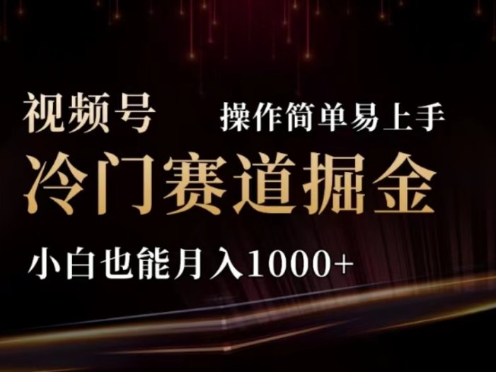 2024视频号冷门赛道掘金，操作简单轻松上手，小白也能月入1000+